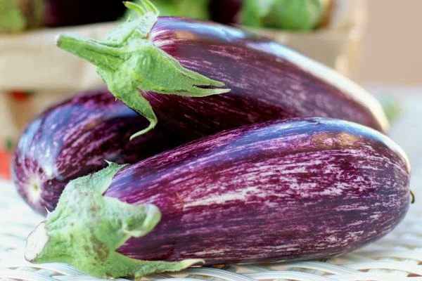 Which Country Exports the Most Eggplant in the World?